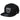 Silver Mine Snapback